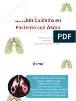 Gestion Cuidado Asma