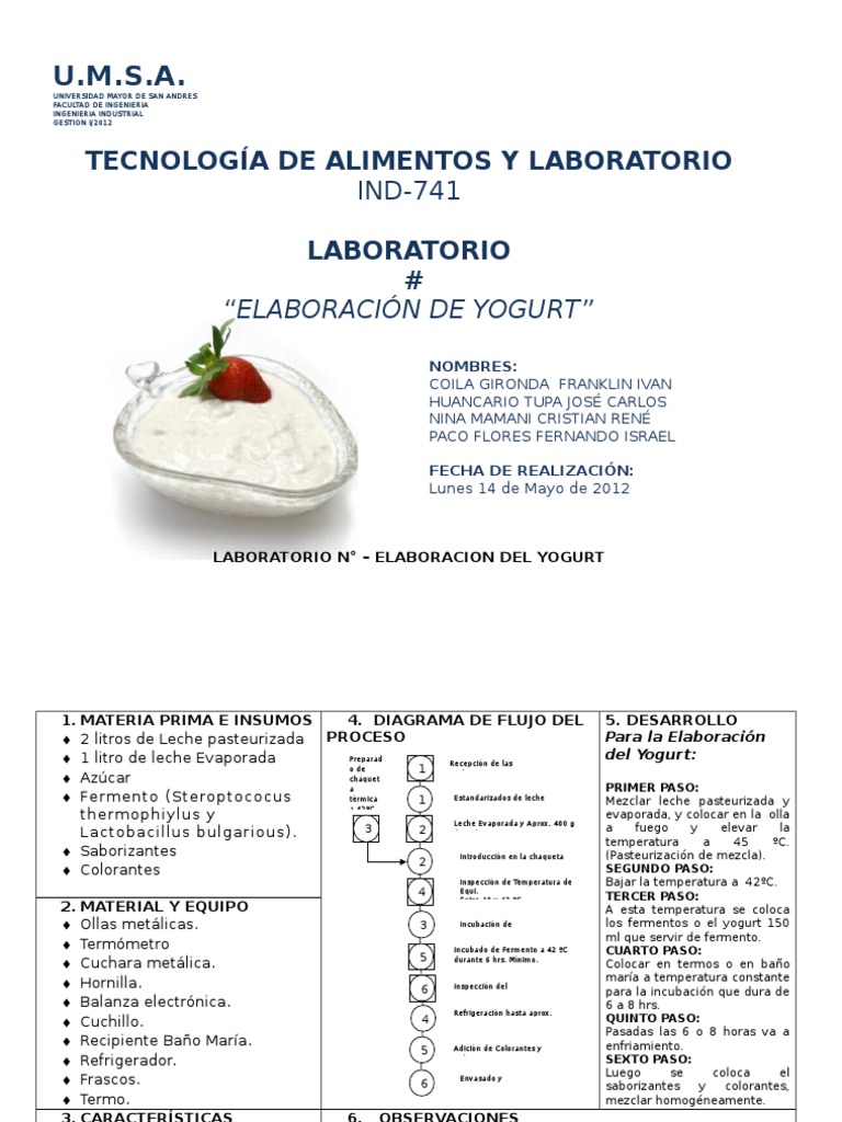 laboYOGURT Alimentos, PDF, Yogur