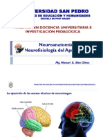 Neuroanatomia y Neurofisiologia del Aprendizaje.pdf