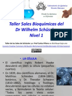 Taller Sales Bioquímicas Nivel 1