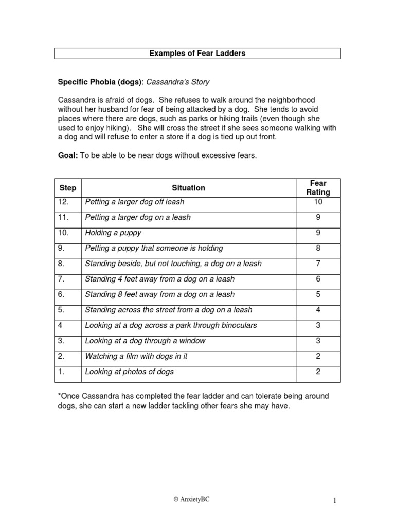 Examples of Fear Ladders Anxiety Traffic