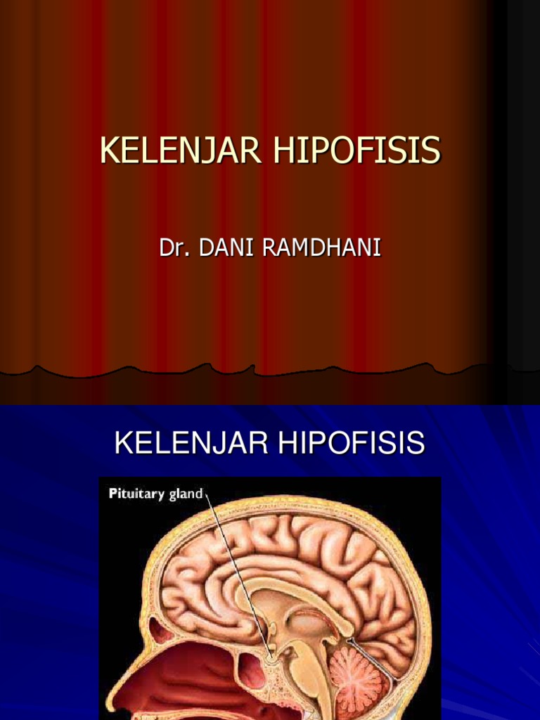 Kelenjar Hipofisis