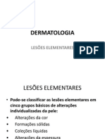 Leseselementares 110131180111 Phpapp01