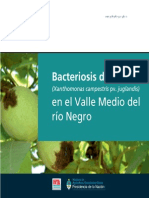 INTA Bacteriosis Del Nogal