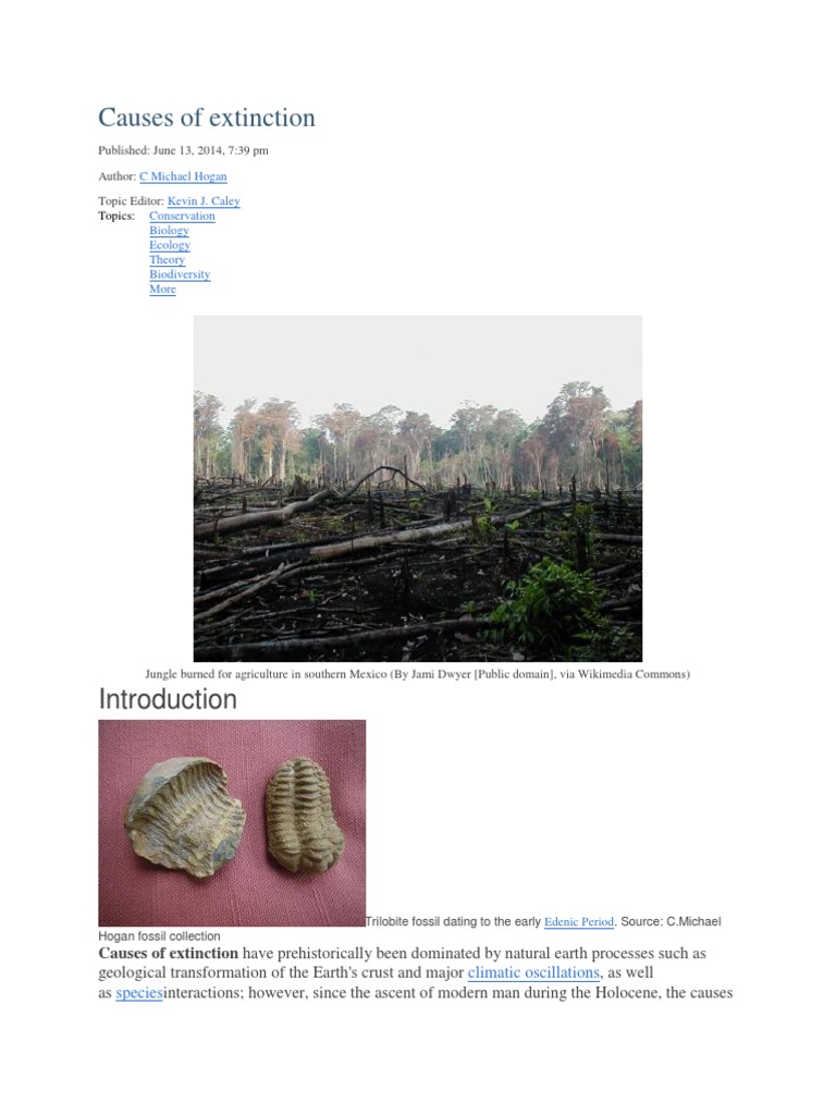 Causes of Extinction | PDF | Habitat Destruction | Extinction