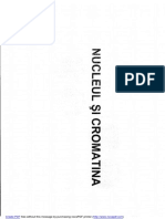 Nucleul Si Cromatina