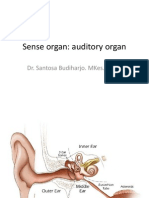 Sense Organ - Auditory - Untad 2012