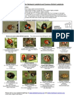 Ladybird ID Handbook