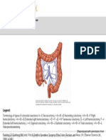 From: Chapter 29. Colon, Rectum, and Anus: Schwartz's Principles of Surgery, 9e, 2010