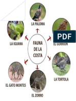 Fauna-de-la-costa.docx