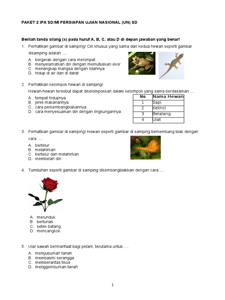 Contoh Hortatory Exposition Text Tentang Ujian Nasional 