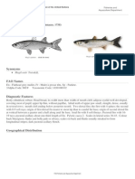 FAO Fisheries &amp Aquaculture - Aquatic Species