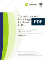 Libelula and E3G: Towards A National Financing Pathway For Climate Action in Peru