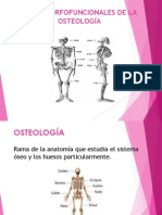 Miología, Osteología