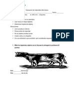 Evaluación de Matemática 2do Básico