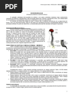 RADIOLOGIA 05 - Neurorradiologia - MED RESUMOS (JAN-2012).pdf