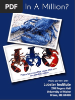 Download Lobster Institute Colors Guide by Evan Buxbaum Circa SN237807516 doc pdf