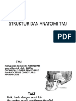 Struktur Dan Anatomi TMJ