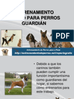 68311668 Entrenamiento Canino Para Perros Guardian