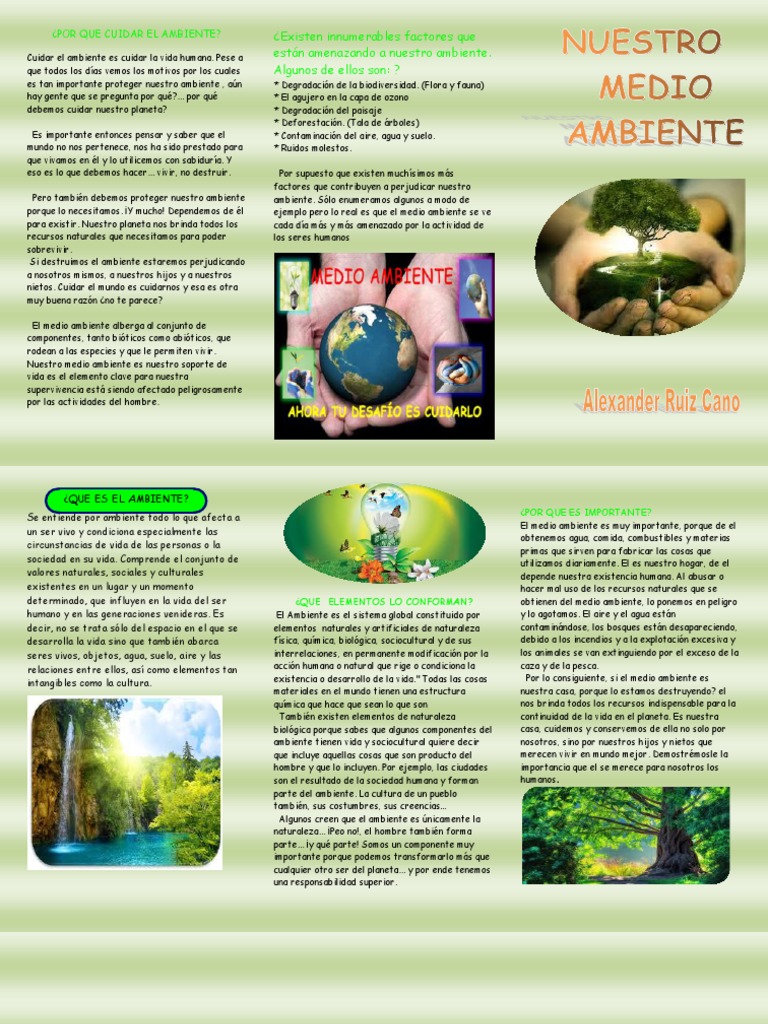 Importancia de Cuidar el Medio Ambiente | PDF | Entorno natural | Vida
