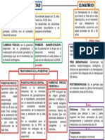 Mapa Conceptual-Pubertad y Climaterio