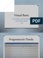 Visual Basic