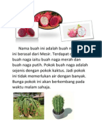 Nama Buah Ini Adalah Buah Naga