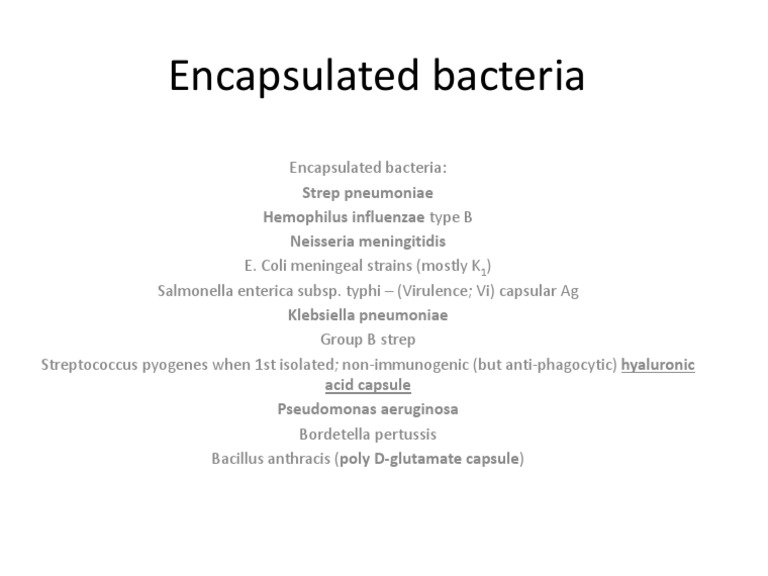 Key Encapsulated Bacteria Overview | PDF