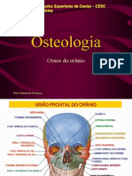 Anatomia - Ossos Do Crânio