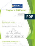 Advanced Linux Chapter v DNS