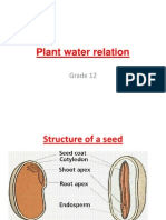 Plant Water Relation: Grade 12