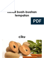 Kenali Buah-Buahan Tempatan