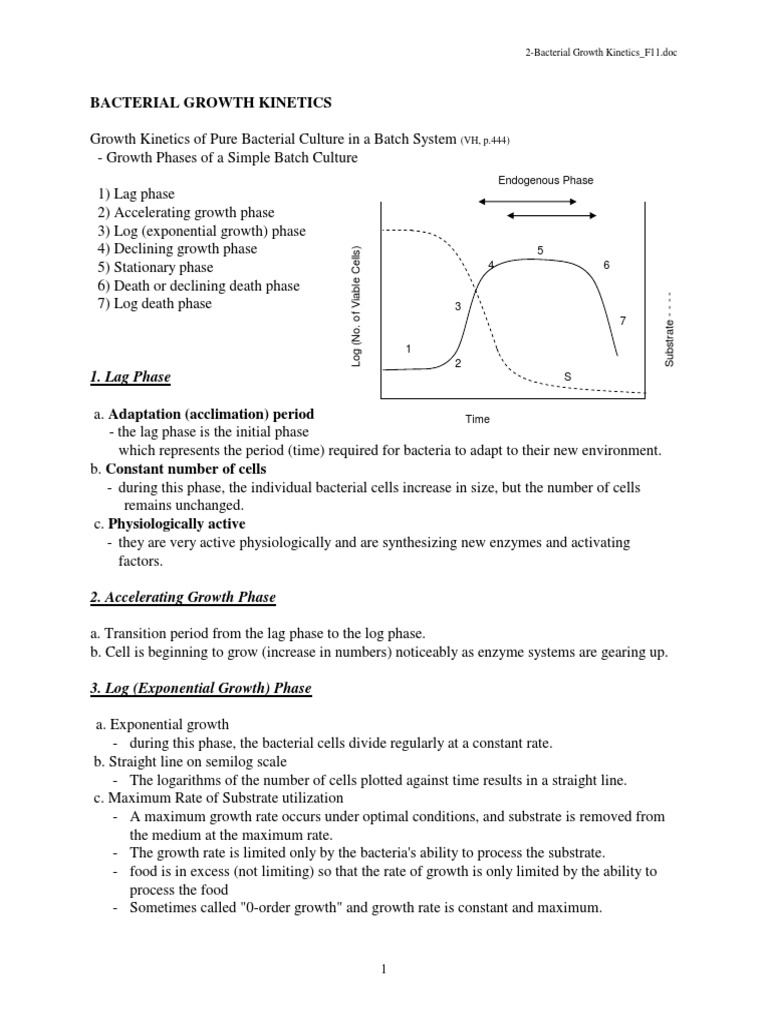 Bacterial Growth Kinetics Overview | PDF | Cell Growth | Bacteria