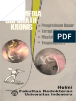 Helmi - OMSK PDF