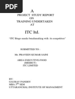 Itc Project Report