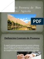 Contrato de Promesa de Bien Raíz Agrícola