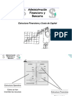 Estructura y Costo de Capital