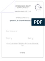 Pruebas de Funcionamiento Renal