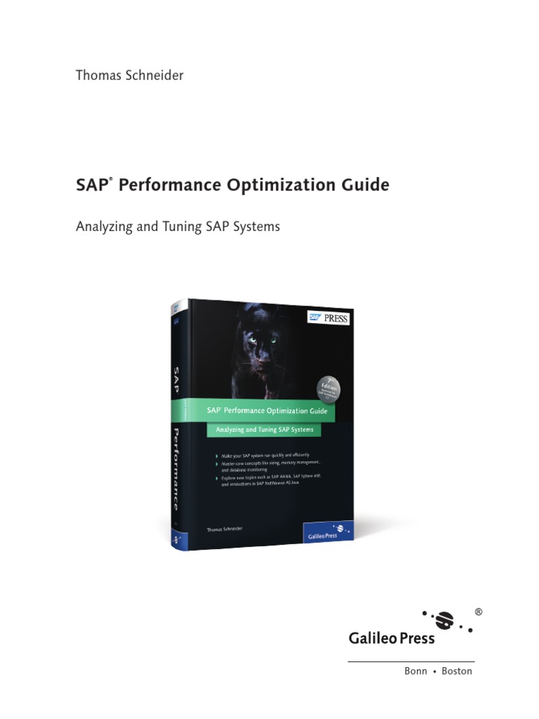 Sappress Performance Optimization 7 | PDF | Computers
