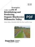 Blueberry Economics