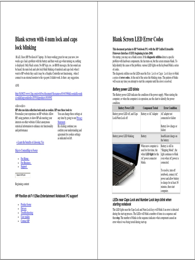 Blank Screen With 4 Num Lock and Caps Lock Blinking Blank Screen LED