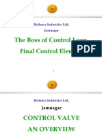 The Boss of Control Loop, Final Control Element: Reliance Industries Ltd. Jamnagar