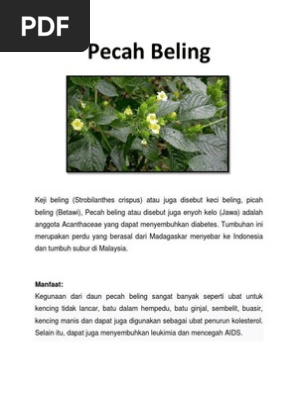 Pecah Beling  PDF