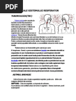 Boli Ale Sistemului Respirator