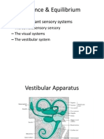 Balance & Equilibrium: - Three Important Sensory Systems