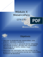 P0001 File Mesencéfalo