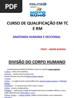 Anatomia Seccional - ANDRÉ BARROS- Aula 1