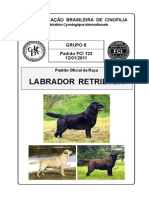 Retriever Labrador