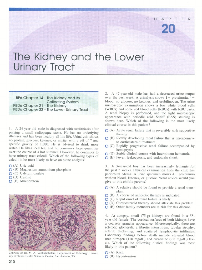 Robbins review of pathology part 3
