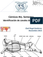 Canales de Reses, Cerdo, Etc